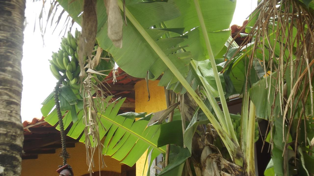 Paraiso Do Sol Inn