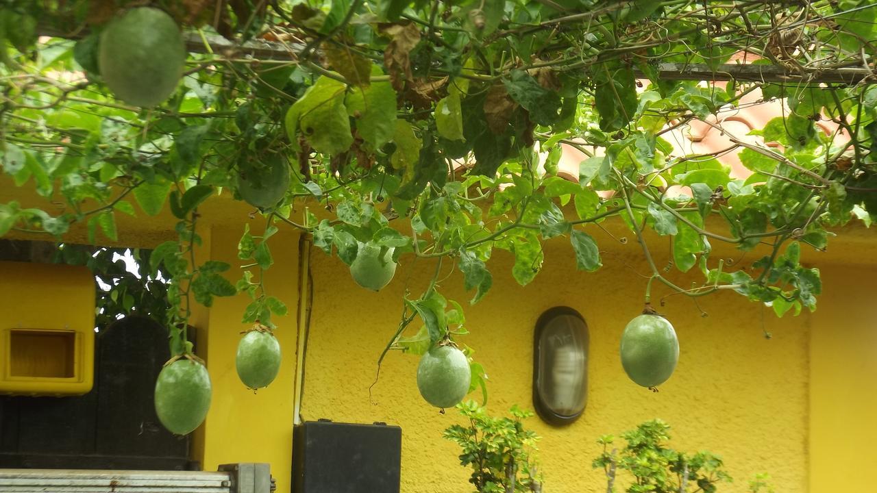 Inn Paraiso Do Sol